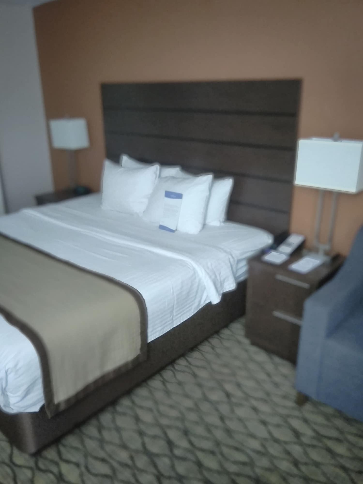 Hotel Baymont By Wyndham Madison Heights Detroit Area Exterior foto